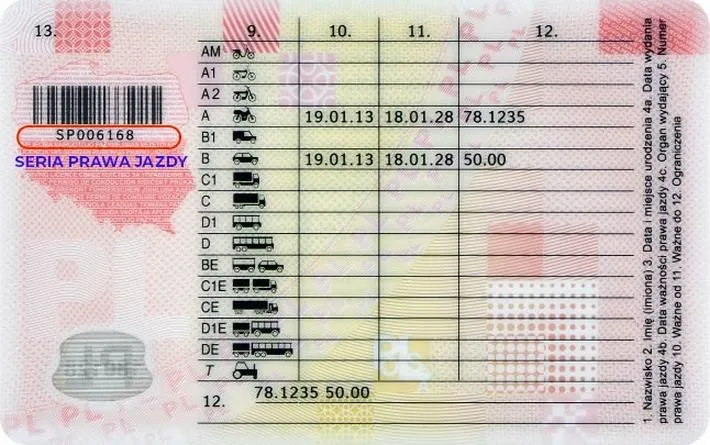 Prawo jazdy przez internet: wniosek bez błędów i zbędnych wizyt