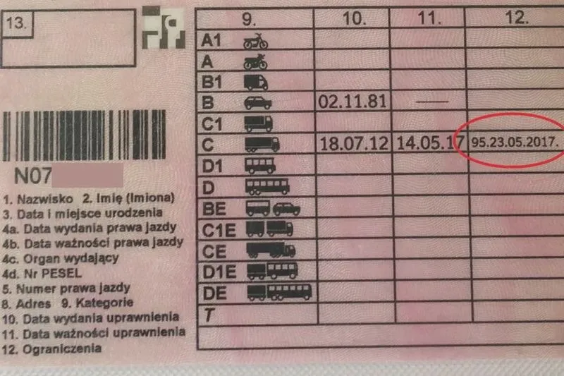 Świadectwo kwalifikacji zawodowej: jak uzyskać kod 95 i ile to kosztuje
