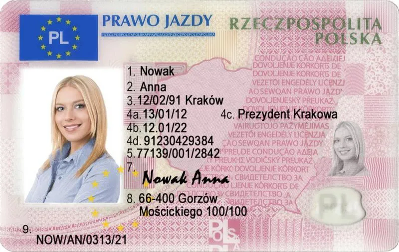 Koszty prawa jazdy online