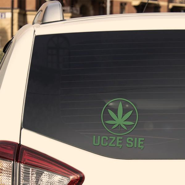 Zielony listek na aucie